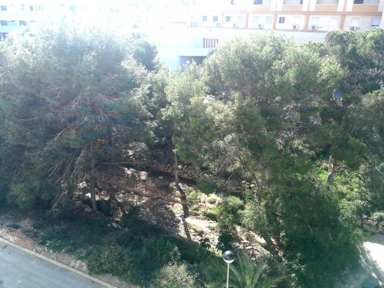 Villa for Sale in Playa Flamenca, Alicante 26