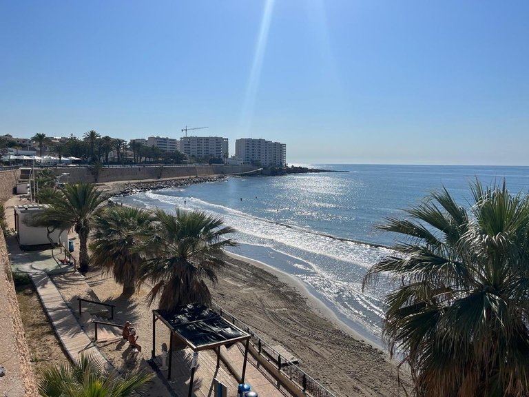 Apartment for Sale in Punta Prima, Alicante 14