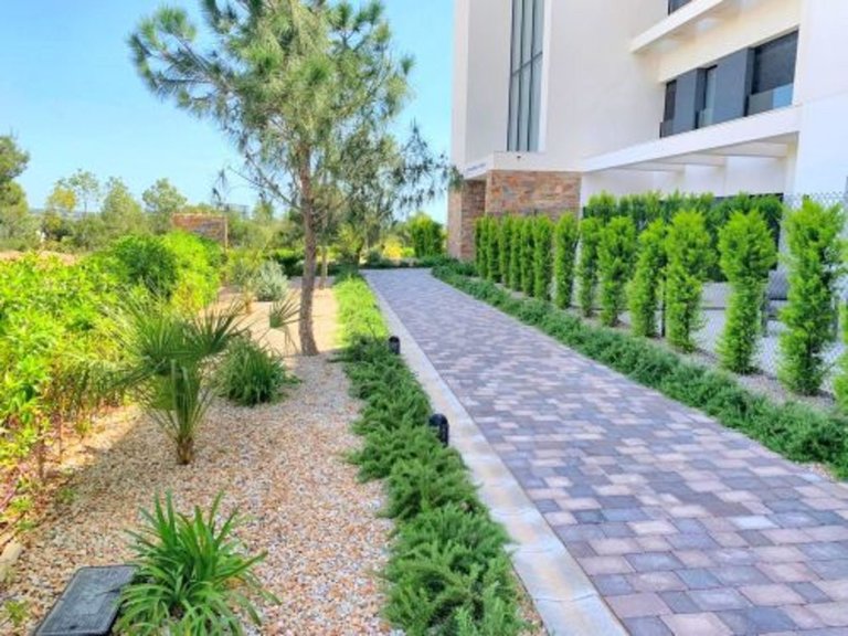 Apartment for Sale in Dehesa De Campoamor, Alicante 13