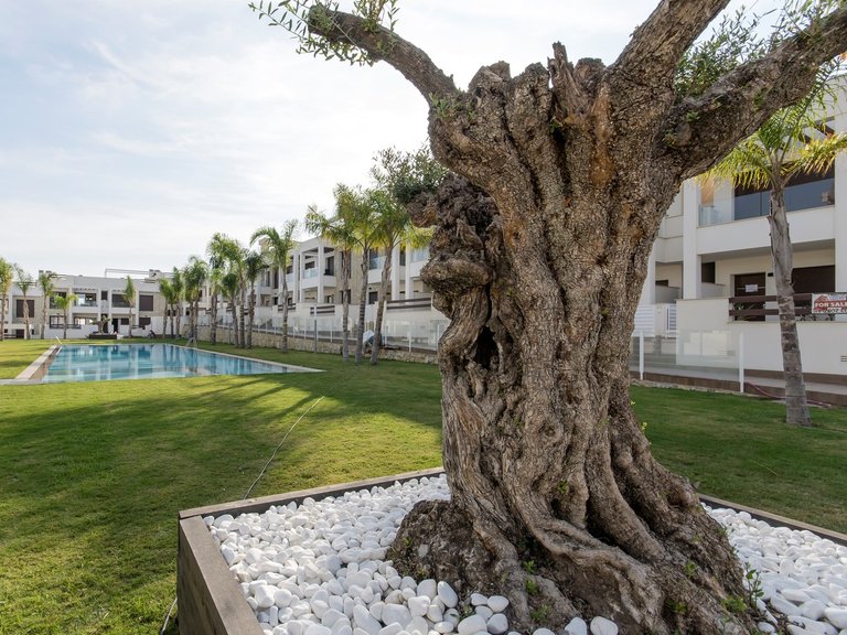 Apartment for Sale in Torrevieja, Alicante 22