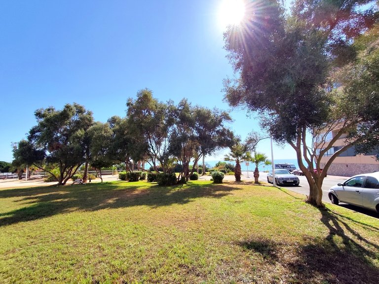 Apartment for Sale in Torrevieja, Alicante 23