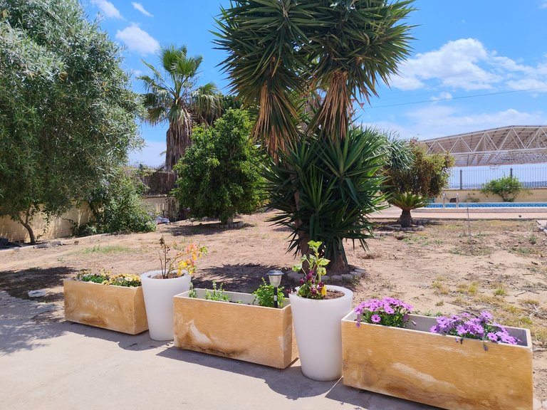 Villa for Sale in Los Montesinos, Alicante 11