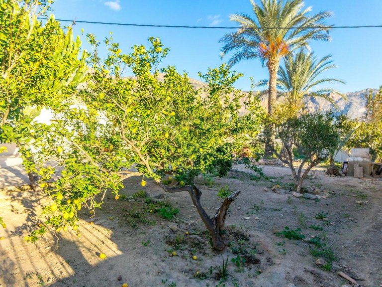 Villa for Sale in Orihuela, Alicante 23