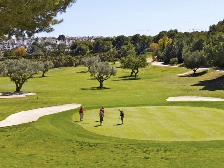 Villa for Sale in Torrevieja, Alicante 15