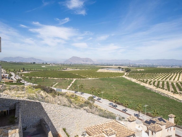 Villa for Sale in Algorfa, Alicante 27