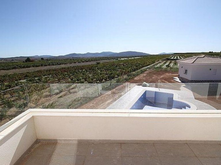 Villa for Sale in Pinoso, Alicante 15