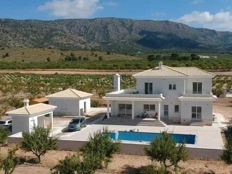 Villa for Sale in Pinoso, Alicante 2