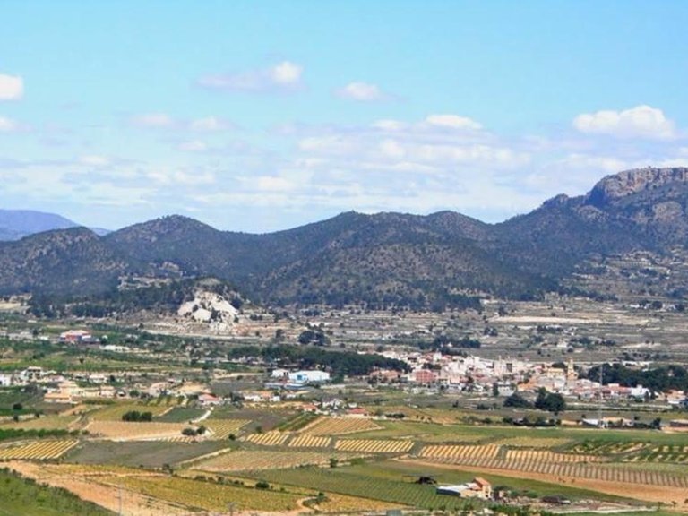 Villa for Sale in La Romana, Alicante 23