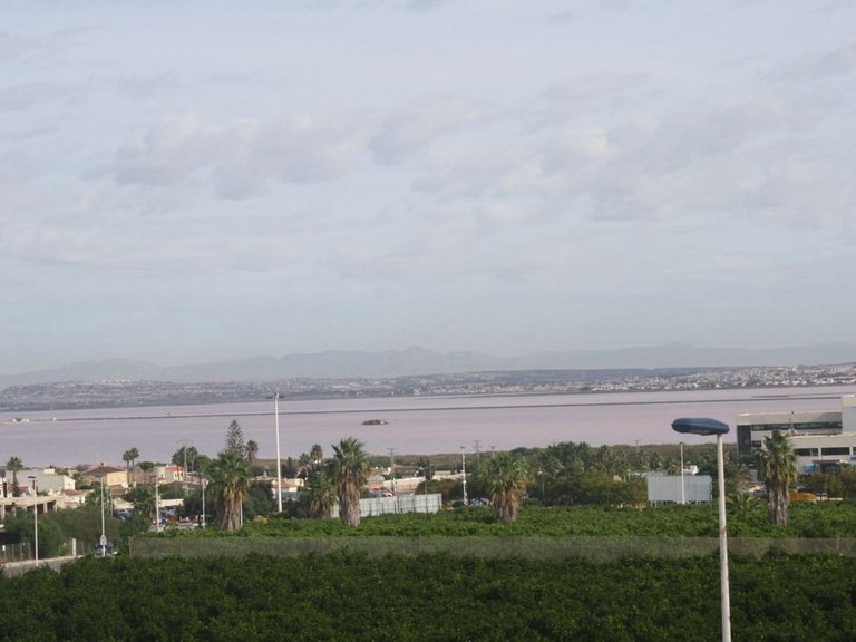 Town House for Sale in Torrevieja, Alicante 26