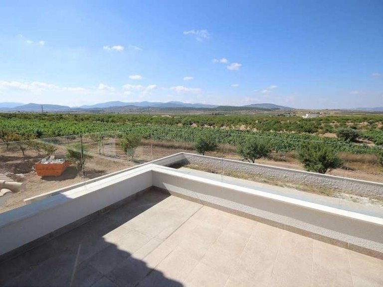 Villa for Sale in Pinoso, Alicante 3