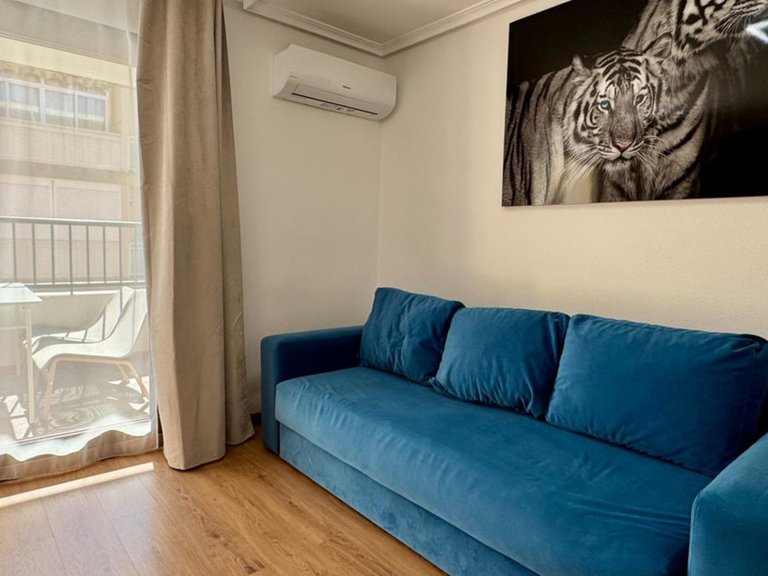 Apartment for Sale in Torrevieja, Alicante 6