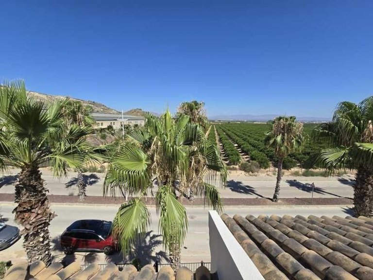 Villa for Sale in Algorfa, Alicante 2