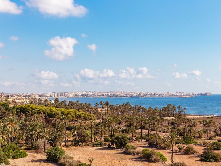 Apartment for Sale in Punta Prima, Alicante 1