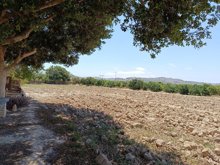 Villa for Sale in Daya Vieja, Alicante 28