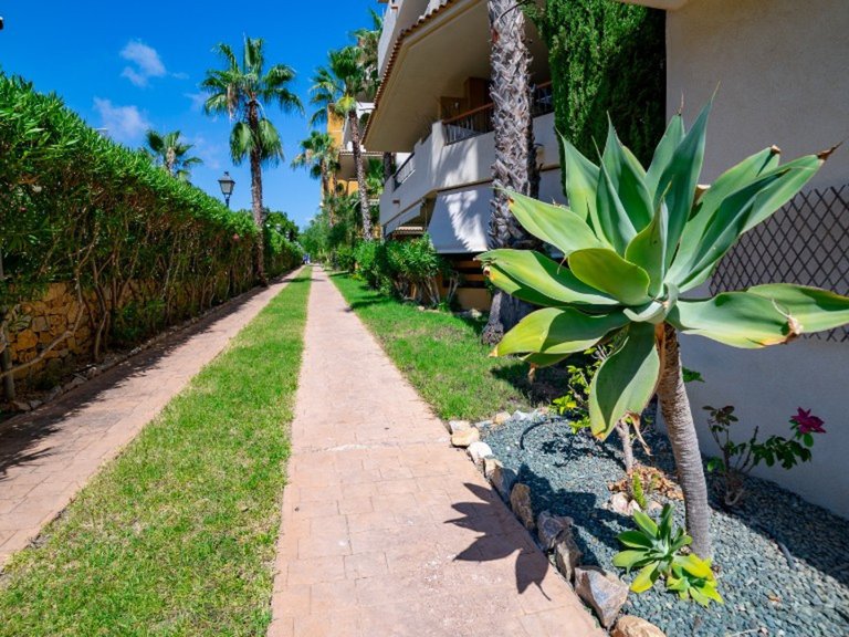 Apartment for Sale in Punta Prima, Alicante 31
