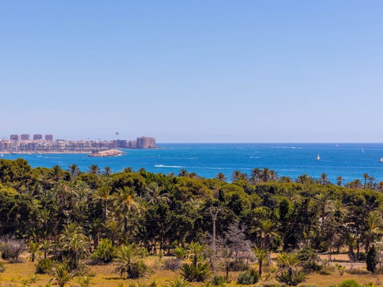 Apartment for Sale in Punta Prima, Alicante 33