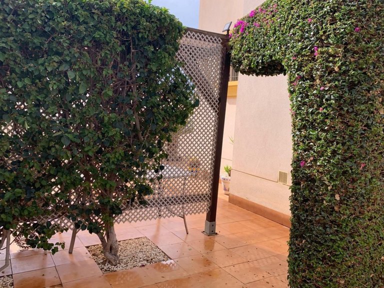 Villa for Sale in Guardamar Del Segura, Alicante 45
