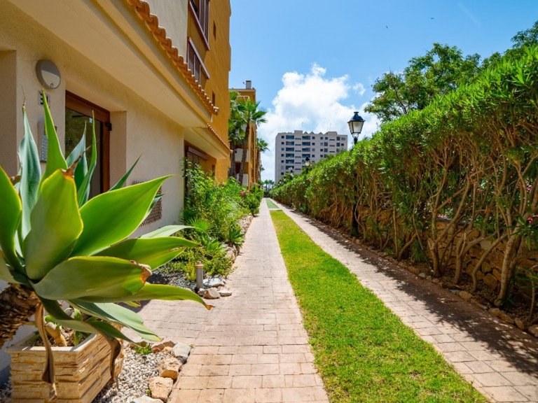 Apartment for Sale in Punta Prima, Alicante 32