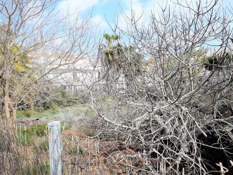 Villa for Sale in Formentera Del Segura, Alicante 22
