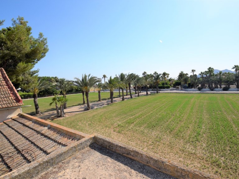 Villa for Sale in Catral, Alicante 1