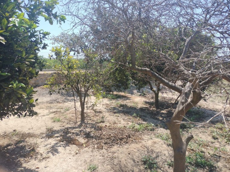 Villa for Sale in Daya Vieja, Alicante 21