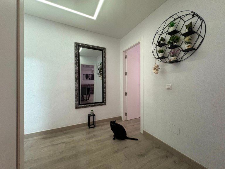 Apartment for Sale in Torrevieja, Alicante 2