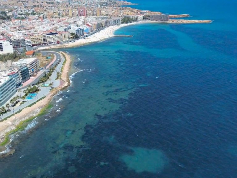Apartment for Sale in Playa Del Cura, Alicante 17