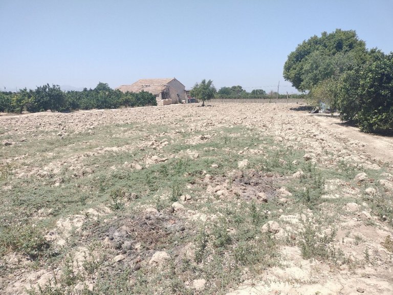 Villa for Sale in Daya Vieja, Alicante 26