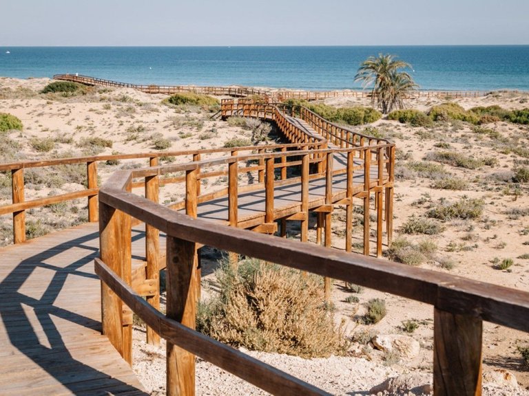 Apartment for Sale in Arenales Del Sol, Alicante 5