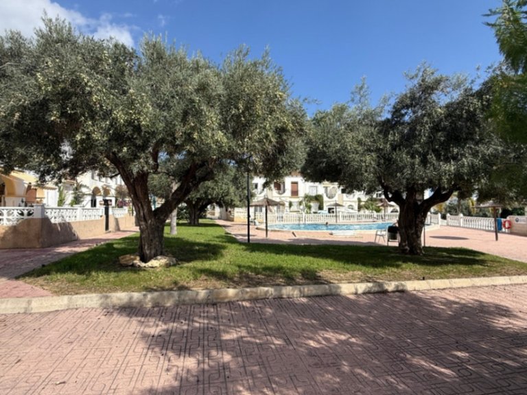 Apartment for Sale in San Miguel De Salinas, Alicante 19