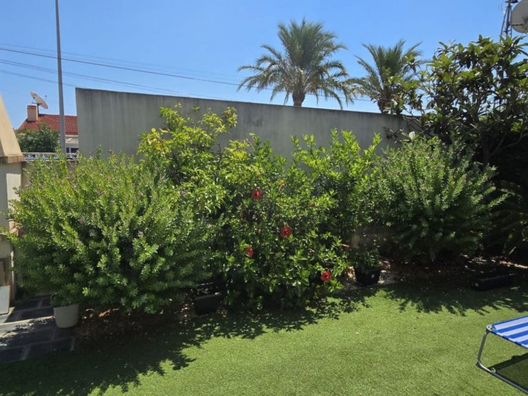 Apartment for Sale in Mil Palmeras, Alicante 11