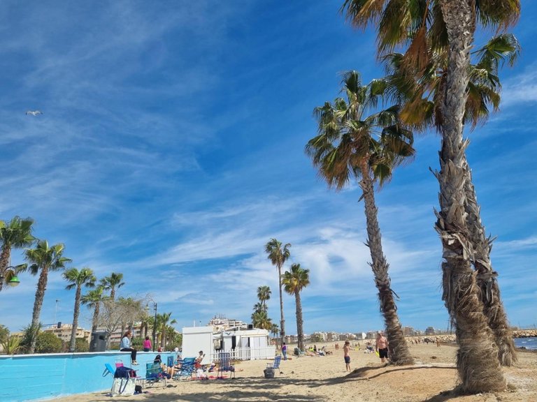 Apartment for Sale in Torrevieja, Alicante 29