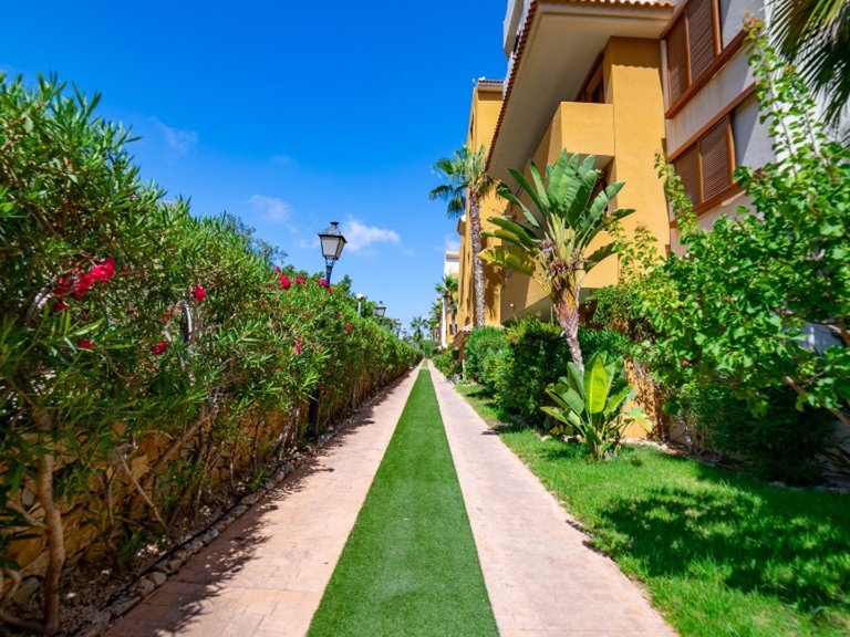 Apartment for Sale in Punta Prima, Alicante 29