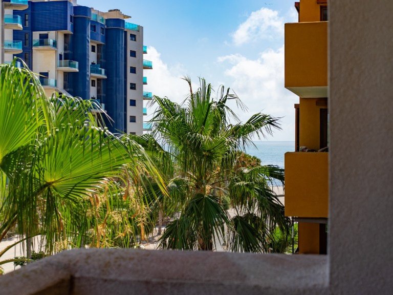 Apartment for Sale in Punta Prima, Alicante 4