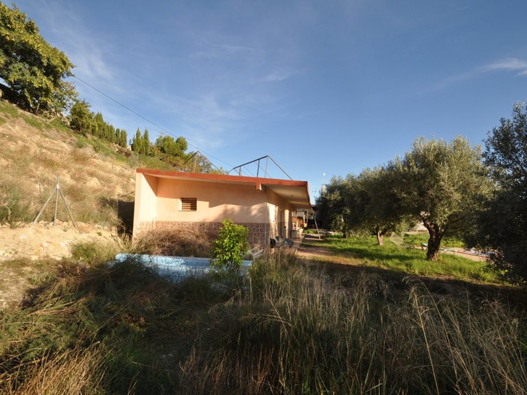 Villa for Sale in Aspe, Alicante 15