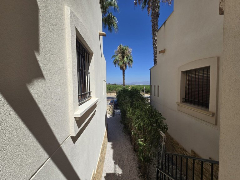 Villa for Sale in Algorfa, Alicante 9