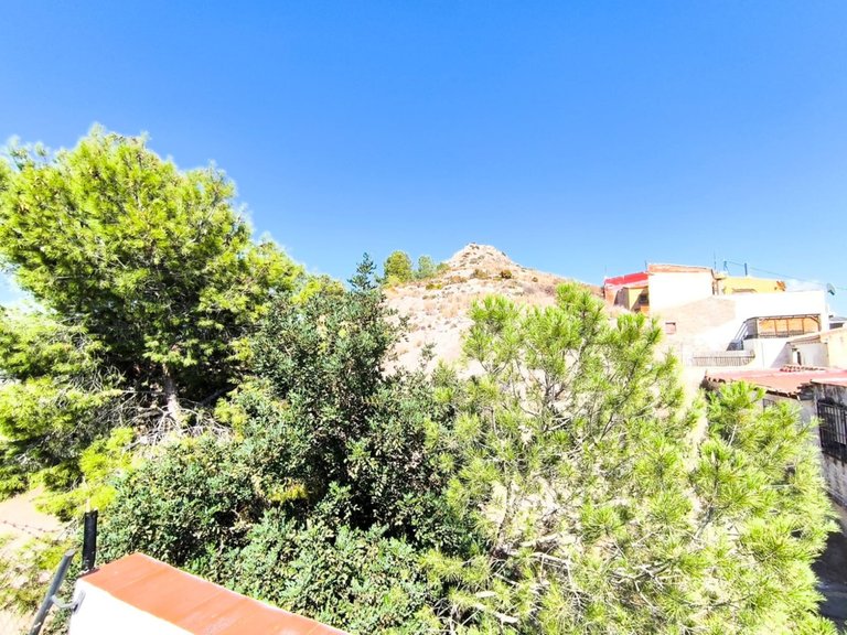 Villa for Sale in Sax, Alicante 18