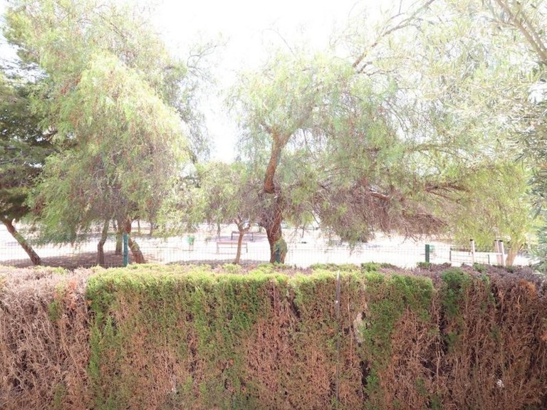 Villa for Sale in Punta Prima, Alicante 18