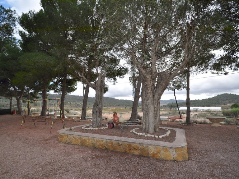Villa for Sale in Pinoso, Alicante 14