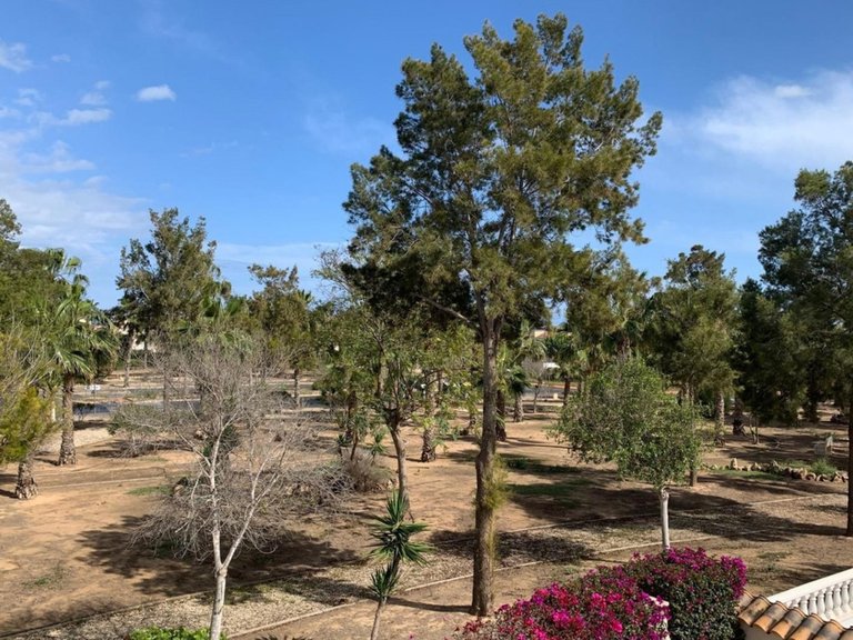 Villa for Sale in Guardamar Del Segura, Alicante 23