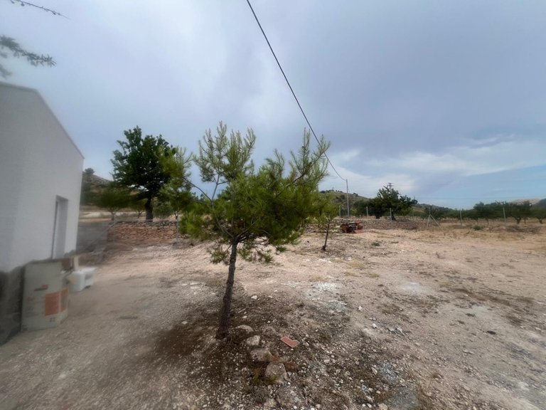 Villa for Sale in La Solana, Alicante 17