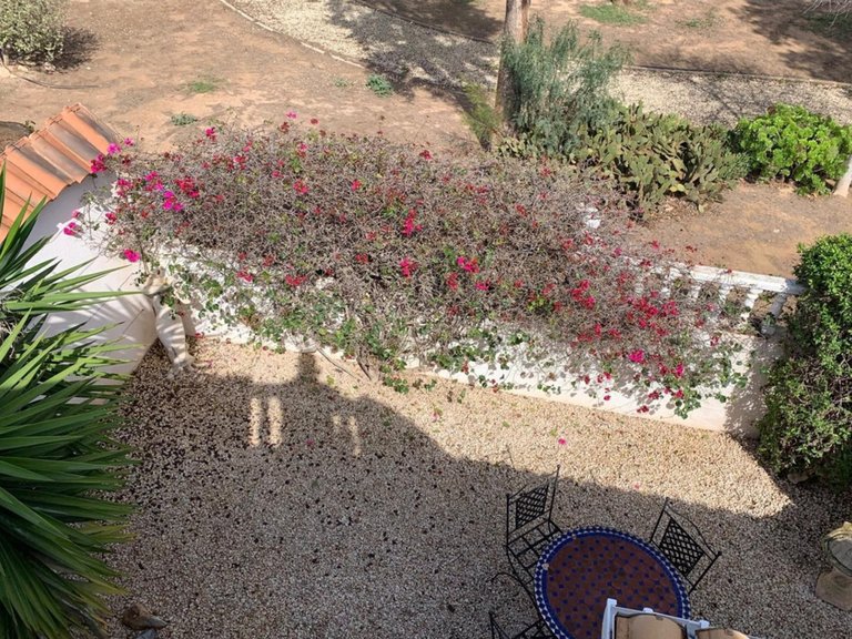 Villa for Sale in Guardamar Del Segura, Alicante 25