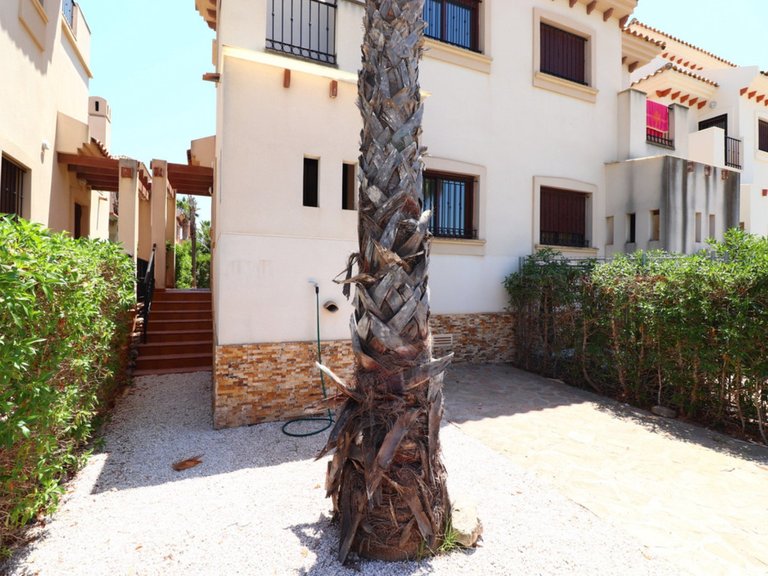 Villa for Sale in Algorfa, Alicante 24