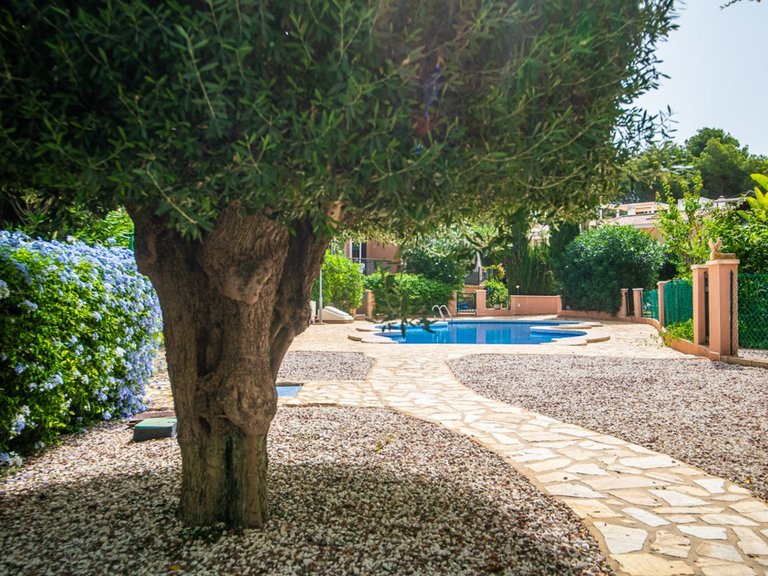 Villa for Sale in Torrevieja, Alicante 29