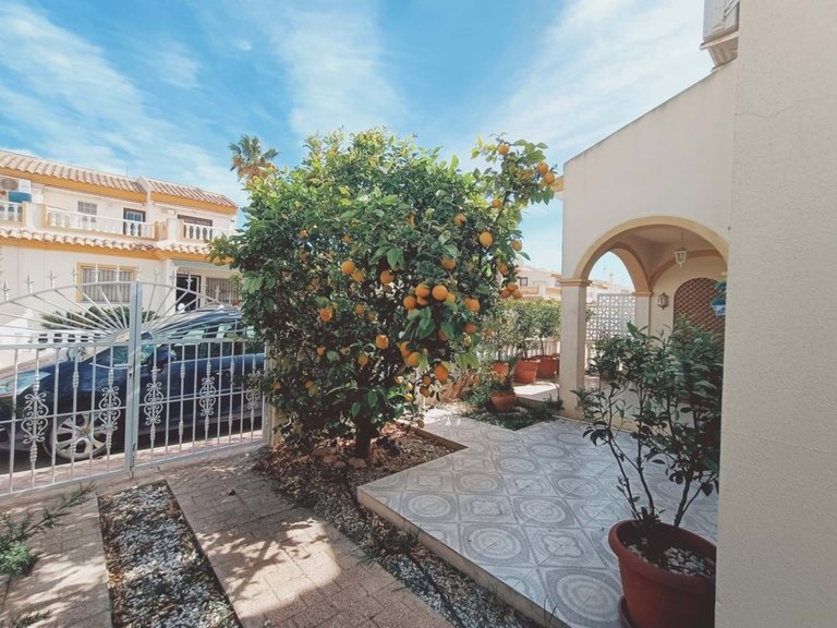 Villa for Sale in Playa Flamenca, Alicante 13