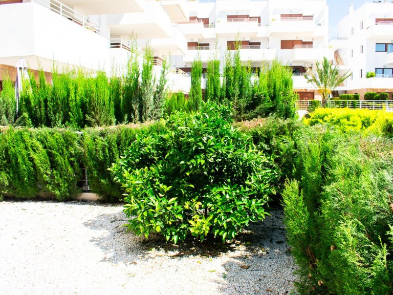 Apartment for Sale in Cabo Roig, Alicante 31