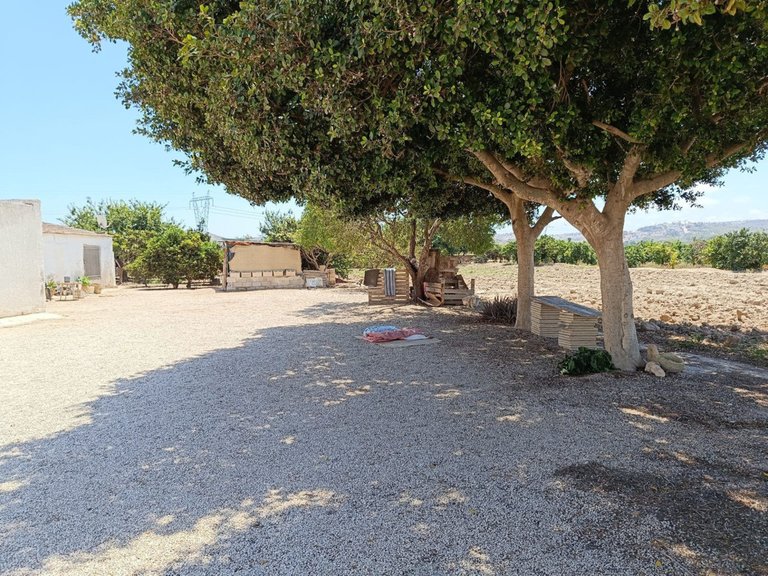 Villa for Sale in Daya Vieja, Alicante 20