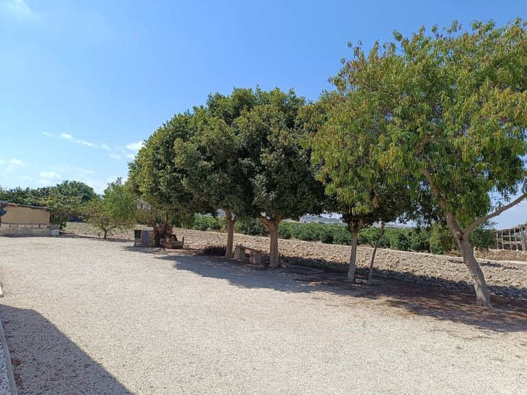 Villa for Sale in Daya Vieja, Alicante 19