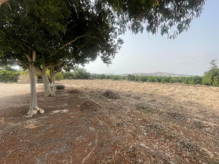 Villa for Sale in Daya Vieja, Alicante 5