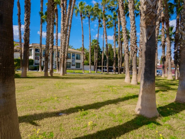 Apartment for Sale in Orihuela, Alicante 25